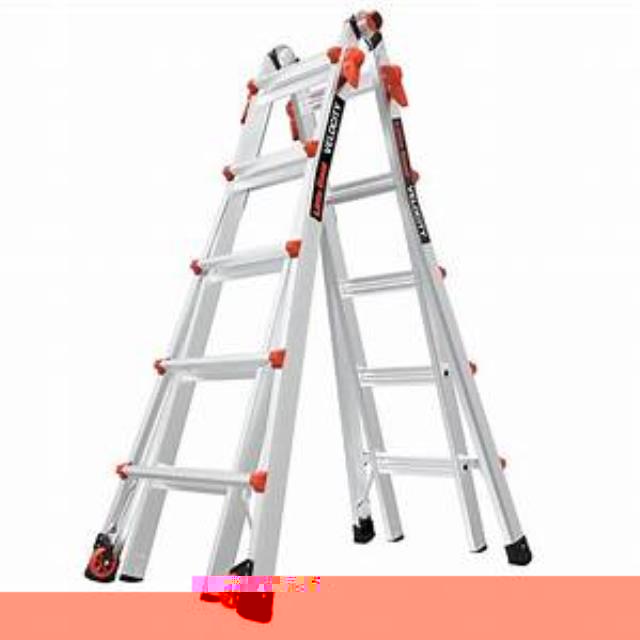 Where to find LADDER 22  TELESCOPING MUTI POSITION in Helena