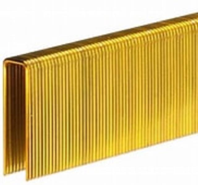 Where to find STAPLES 1 2 X1-1 2  CROWN STRIP in Helena